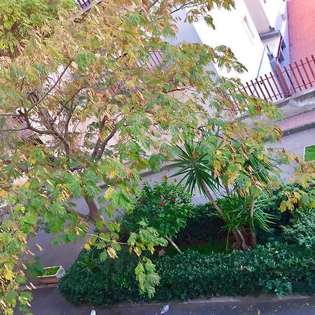 דירות קומיסו Casa Cristina מראה חיצוני תמונה