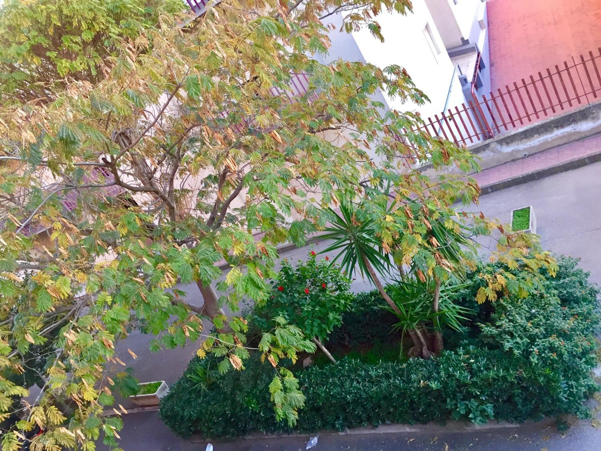דירות קומיסו Casa Cristina מראה חיצוני תמונה